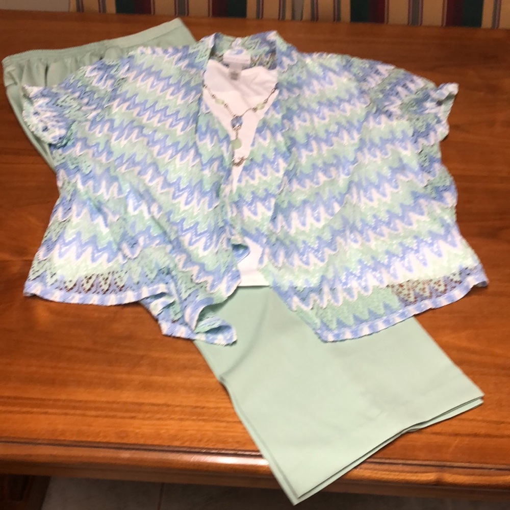 Lacy Alfred Dunner 3 in 1 top and slacks and tank